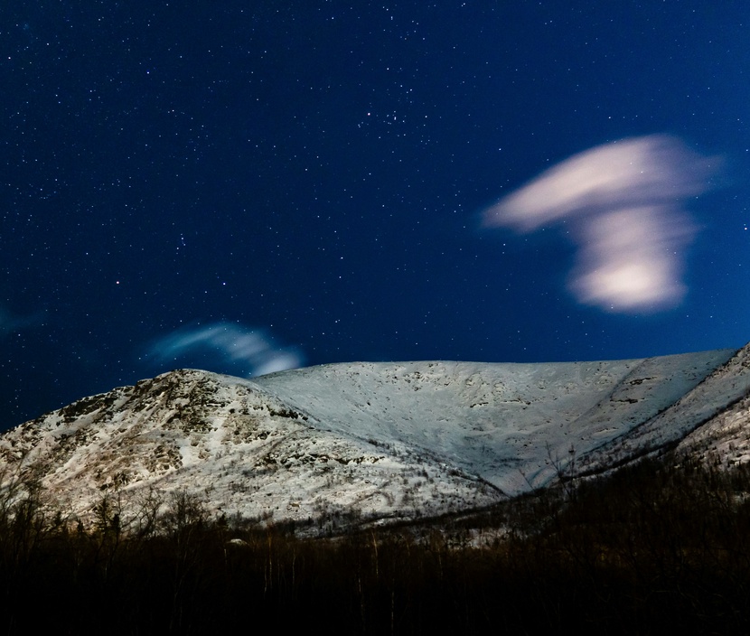 Всегда на связи